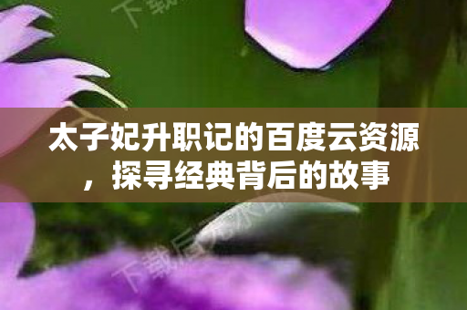 太子妃升职记的百度云资源，探寻经典背后的故事
