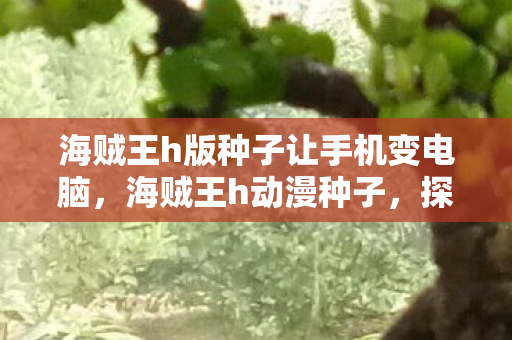海贼王h版种子让手机变电脑，海贼王h动漫种子，探索未知世界的奇幻之旅