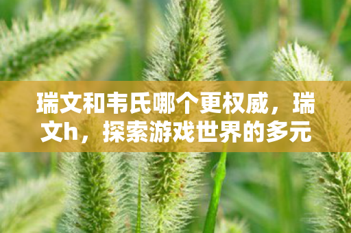 瑞文和韦氏哪个更权威，瑞文h，探索游戏世界的多元体验与独特魅力