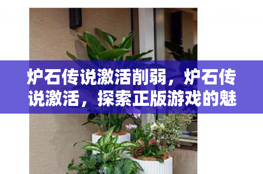 炉石传说激活削弱，炉石传说激活，探索正版游戏的魅力与乐趣