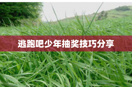 逃跑吧少年抽奖技巧分享