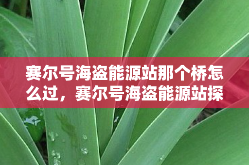 赛尔号海盗能源站那个桥怎么过，赛尔号海盗能源站探索指南