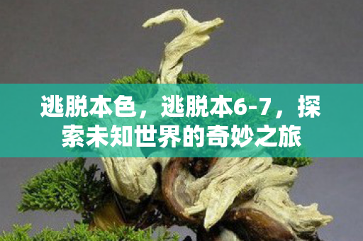 逃脱本色，逃脱本6-7，探索未知世界的奇妙之旅