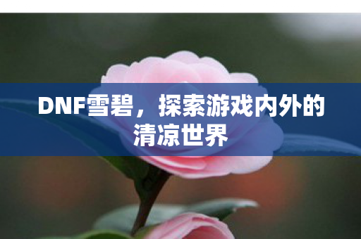 DNF雪碧，探索游戏内外的清凉世界