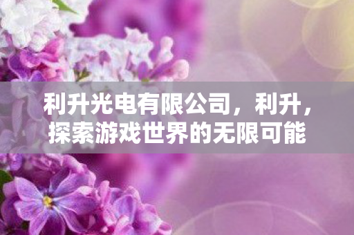利升光电有限公司，利升，探索游戏世界的无限可能