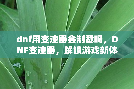 dnf用变速器会制裁吗，DNF变速器，解锁游戏新体验，但需谨慎使用