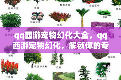 qq西游宠物幻化大全，qq西游宠物幻化，解锁你的专属萌宠