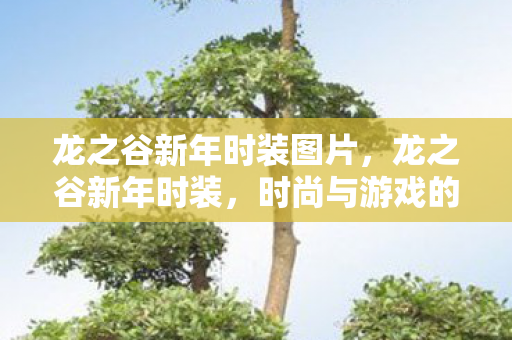 龙之谷新年时装图片，龙之谷新年时装，时尚与游戏的完美融合