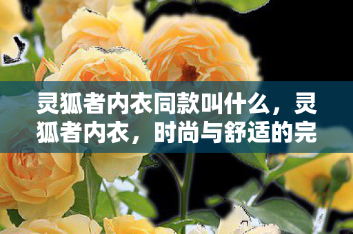 灵狐者内衣同款叫什么，灵狐者内衣，时尚与舒适的完美结合