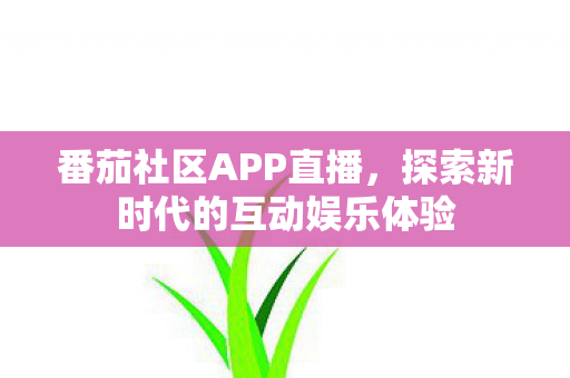 番茄社区APP直播，探索新时代的互动娱乐体验