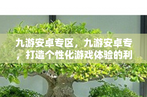 九游安卓专区，九游安卓专，打造个性化游戏体验的利器