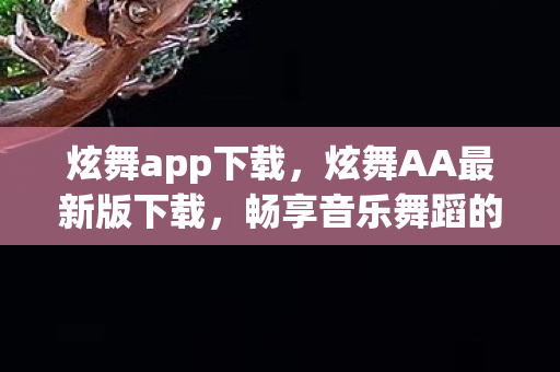 炫舞app下载，炫舞AA最新版下载，畅享音乐舞蹈的盛宴