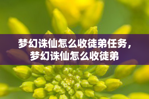 梦幻诛仙怎么收徒弟任务，梦幻诛仙怎么收徒弟
