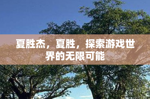 夏胜杰，夏胜，探索游戏世界的无限可能
