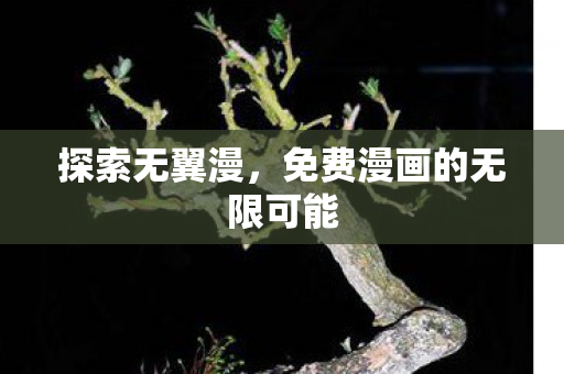 探索无翼漫，免费漫画的无限可能