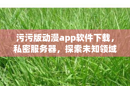 污污版动漫app软件下载，私密服务器，探索未知领域的灰色边缘