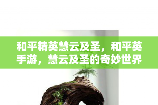 和平精英慧云及圣，和平英手游，慧云及圣的奇妙世界