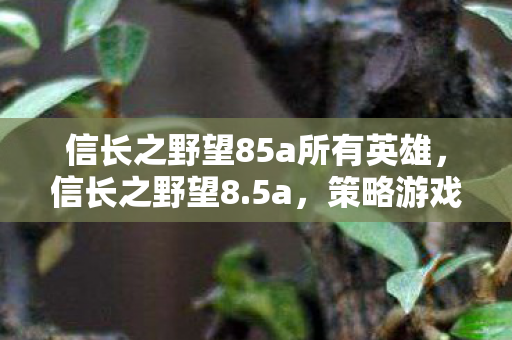 信长之野望85a所有英雄，信长之野望8.5a，策略游戏的经典之作