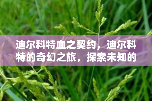迪尔科特血之契约，迪尔科特的奇幻之旅，探索未知的游戏世界