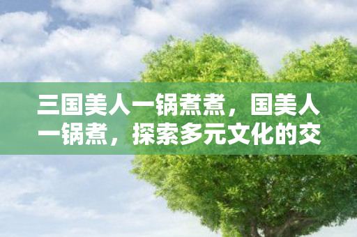 三国美人一锅煮煮，国美人一锅煮，探索多元文化的交融与碰撞