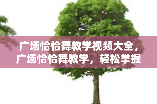 广场恰恰舞教学视频大全，广场恰恰舞教学，轻松掌握热门舞步，展现你的风采