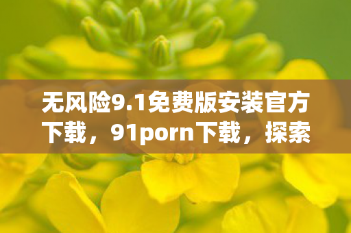 无风险9.1免费版安装官方下载，91porn下载，探索安全、合法的娱乐新选择