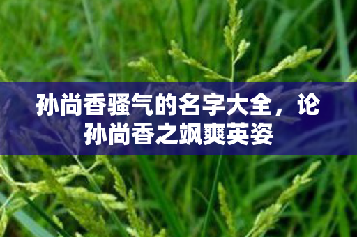 孙尚香骚气的名字大全，论孙尚香之飒爽英姿