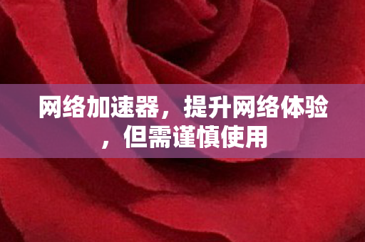 网络加速器，提升网络体验，但需谨慎使用