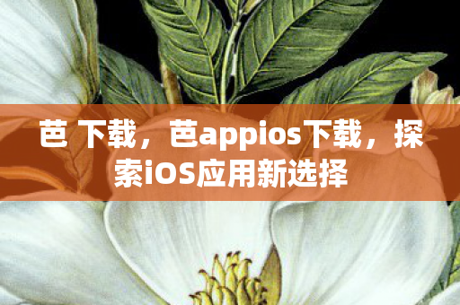 芭 下载，芭appios下载，探索iOS应用新选择