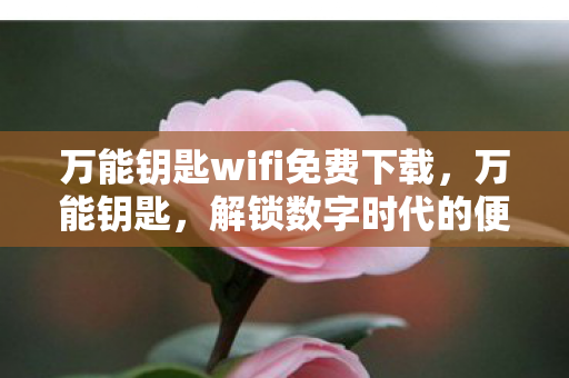 万能钥匙wifi免费下载，万能钥匙，解锁数字时代的便捷与隐私挑战