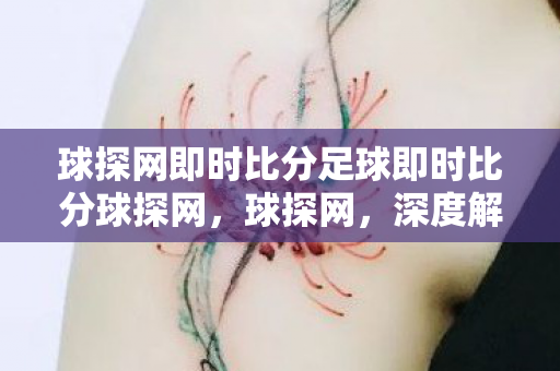 球探网即时比分足球即时比分球探网，球探网，深度解析足球数据平台的魅力与奥秘