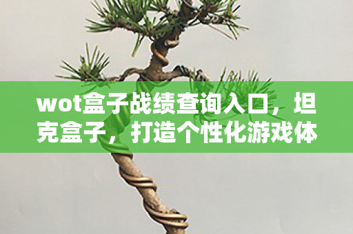 wot盒子战绩查询入口，坦克盒子，打造个性化游戏体验的必备神器