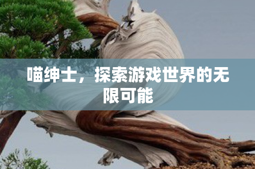 喵绅士，探索游戏世界的无限可能