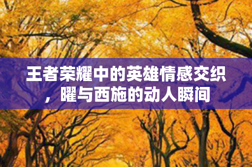 王者荣耀中的英雄情感交织，曜与西施的动人瞬间