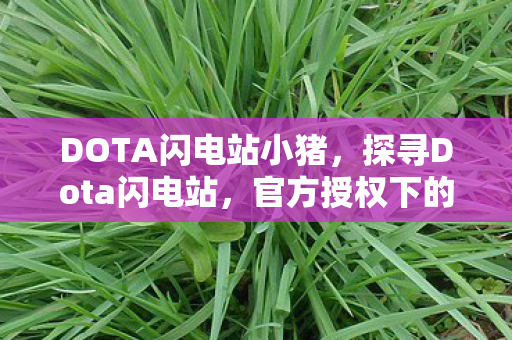 DOTA闪电站小猪，探寻Dota闪电站，官方授权下的独特体验与社区文化