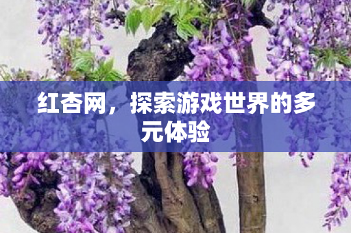 红杏网，探索游戏世界的多元体验