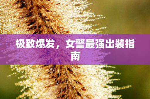 极致爆发，女警最强出装指南