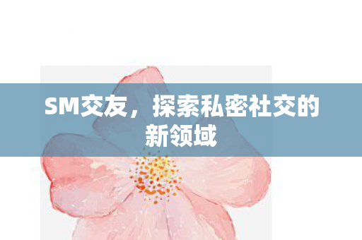 SM交友，探索私密社交的新领域