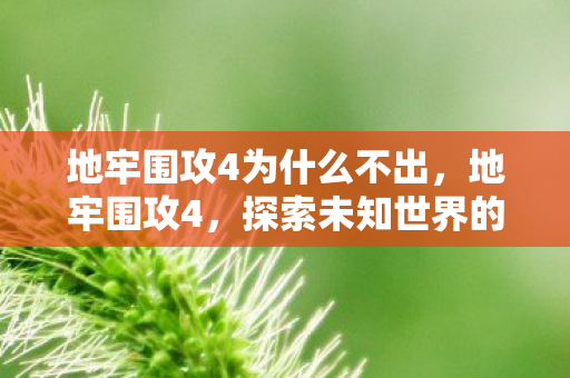 地牢围攻4为什么不出，地牢围攻4，探索未知世界的奇幻冒险