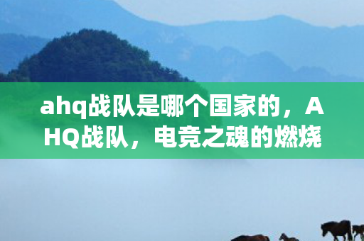 ahq战队是哪个国家的，AHQ战队，电竞之魂的燃烧