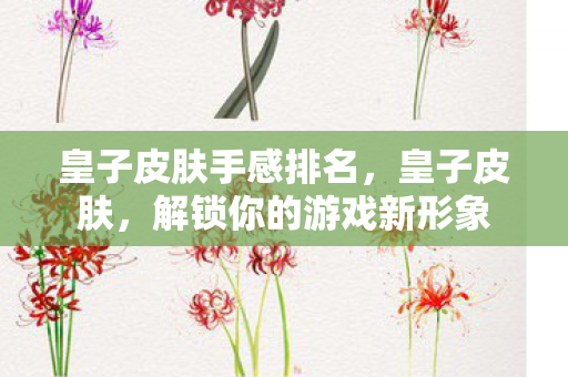 皇子皮肤手感排名，皇子皮肤，解锁你的游戏新形象