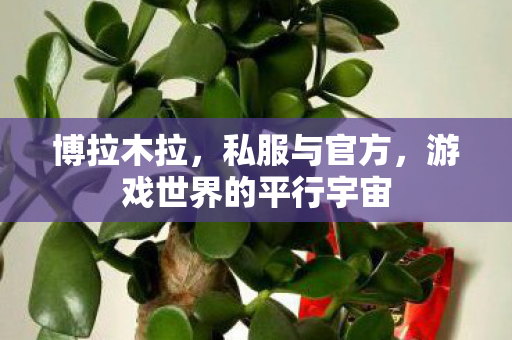 博拉木拉，私服与官方，游戏世界的平行宇宙