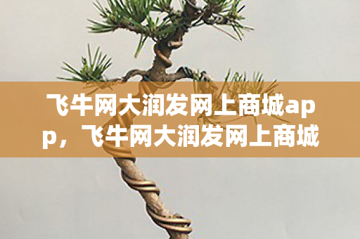 飞牛网大润发网上商城app，飞牛网大润发网上商城，一站式购物新体验