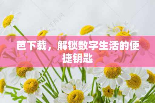 芭下载，解锁数字生活的便捷钥匙