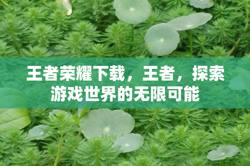 王者荣耀下载，王者，探索游戏世界的无限可能