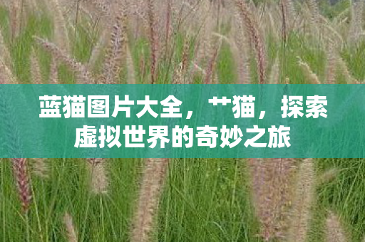 蓝猫图片大全，艹猫，探索虚拟世界的奇妙之旅