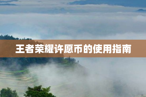 王者荣耀许愿币的使用指南