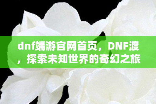 dnf端游官网首页，DNF渡，探索未知世界的奇幻之旅