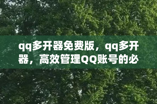 qq多开器免费版，qq多开器，高效管理QQ账号的必备工具