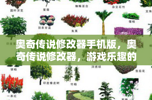 奥奇传说修改器手机版，奥奇传说修改器，游戏乐趣的合法提升工具